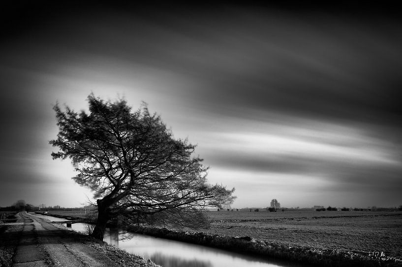 Durch den Wind geformt. von John Verbruggen