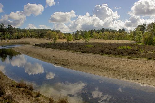 Des nuages qui flottent, des eaux calmes