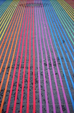 Regenboog op het beton van de stad San Francisco van Carolina Reina