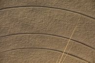 Strandkunst mit Sand und Strandhafer von Smit in Beeld Miniaturansicht