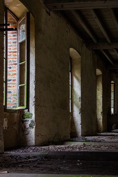 lass das Licht herein von Natalie Boevé