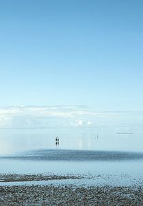 die Nordseeküste 5
