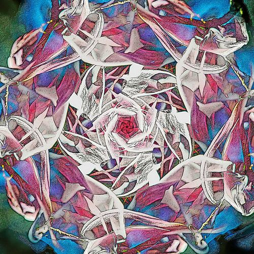 Pentagonia Dreaming