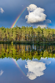 Regenbogen mit Spiegelung. Finnland