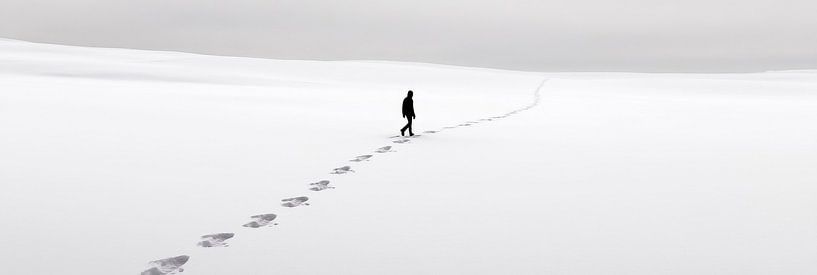 Profiter de la solitude dans la neige par Poster Art Shop
