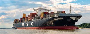 Hamburg - Containerriese auf der Elbe