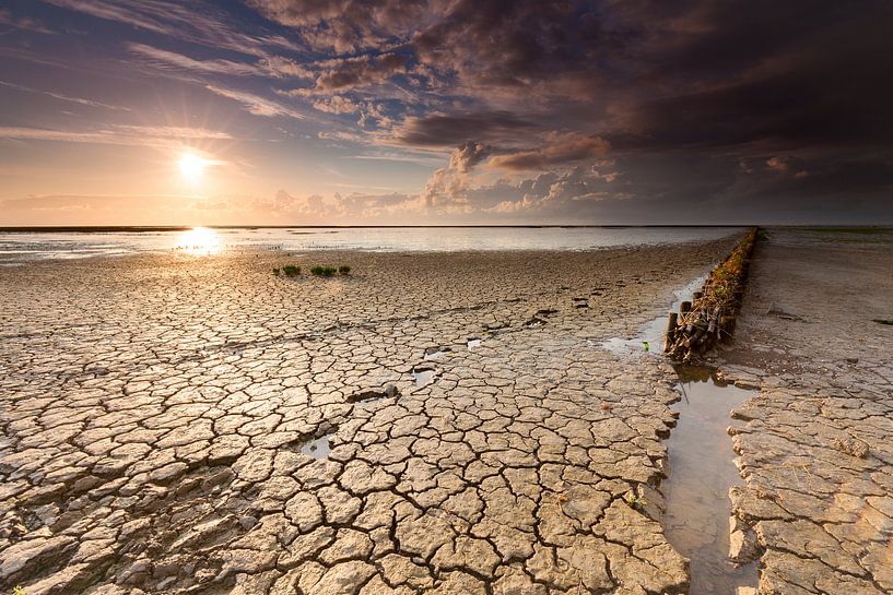 Voetstappen en strekdam in wadden modder bij zonsondergang.  van Mark Scheper