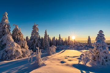 Winter in het Nationaal Park Schwarzwald van Werner Dieterich