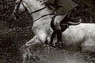 Horse in action van Wybrich Warns thumbnail