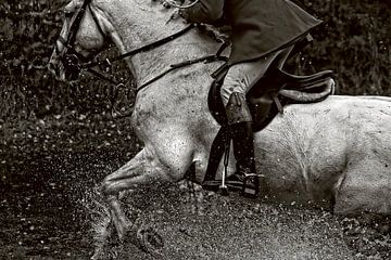 Horse in action van Wybrich Warns