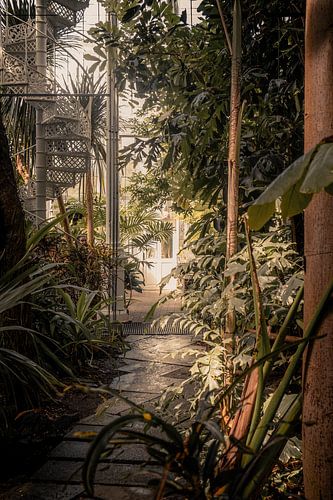 La jungle à l'intérieur du jardin botanique de Copenhague
