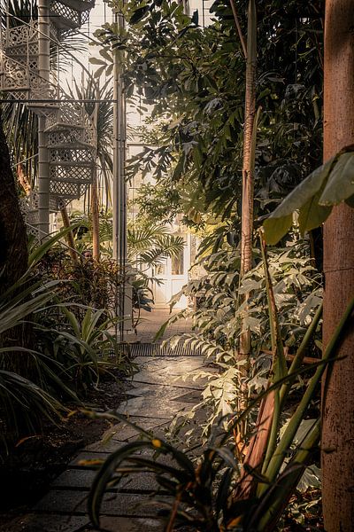 De jungle in de botanische tuin van Kopenhagen van Jonas Röjestål