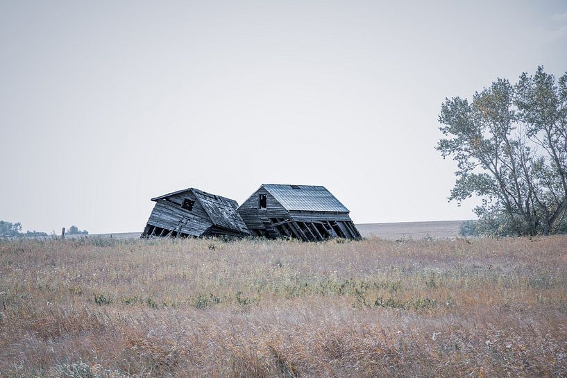 expiré par Barbara Verstraate