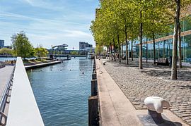 Strakke lijnen langs de Rijnhaven