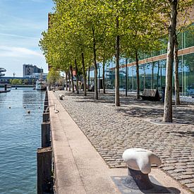 Des lignes épurées le long du Rijnhaven sur Paysages urbains - Rick Van der Poorten Photography