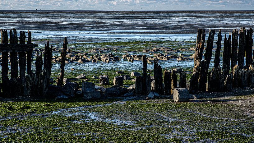 Das Wattenmeer am Moddergat von Eddy Westdijk