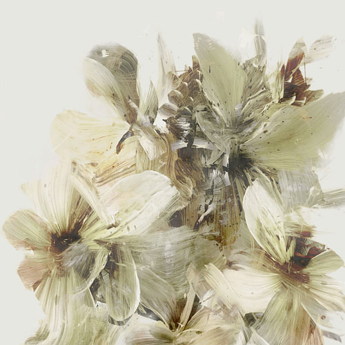Heuvelbloemen