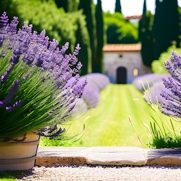 Ambiance lavande sur Heike Hultsch