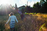 Summer with friends in France by Martijn Stoppels thumbnail