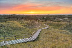 Blick von der Aussichtsdüne A Siatler in Norddorf auf Amrum