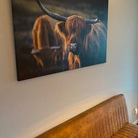 Klantfoto: Schotse Hooglander bij avondlicht. Gouden uur. van Henk Van Nunen Fotografie, op canvas