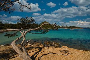 Baai op het Ile de Porquerolles in Zuid-Frankrijk van Tanja Voigt