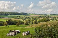 Uitzicht op Epen in Zuid-Limburg van John Kreukniet thumbnail