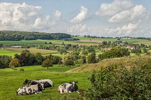 Blick auf Epen in Süd-Limburg