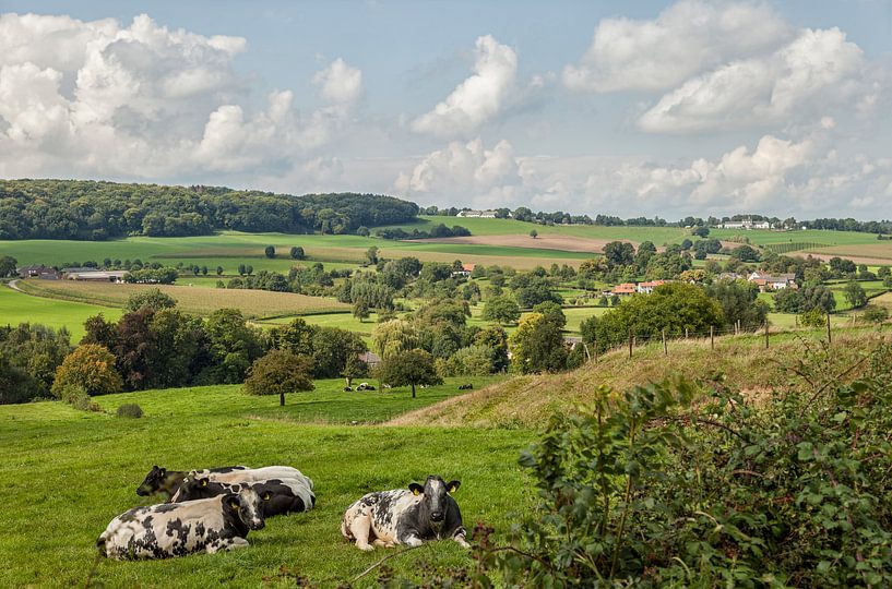 Vue d'Epen dans le sud du Limbourg par John Kreukniet