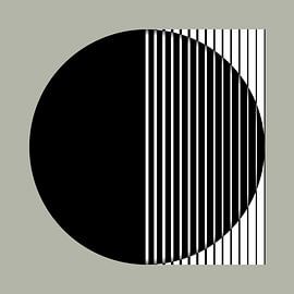 Black Lines in Circle by Marcio Pontes