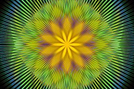 Bloemenstralen van Leo Huijzer