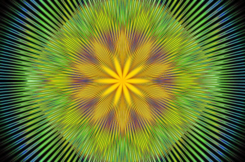 Flowerrays by Leo Huijzer