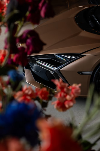 Blooming Performance – Automotive Art