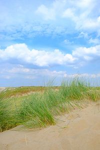 Zomer in de duinen bij het Noordzee strand van Sjoerd van der Wal Fotografie