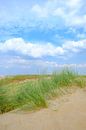 Été dans les dunes de la plage de la mer du Nord par Sjoerd van der Wal Photographie Aperçu