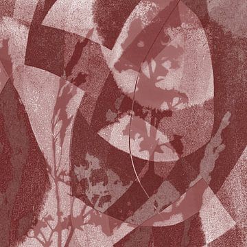 Night flowers. Abstract botanical in warm brown and white. by Dina Dankers