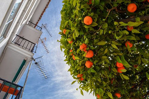 Oranges et antennes à Ronda sur Marianne Eggink - Photographie et l'art digitale