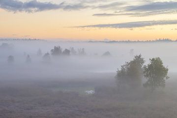 Mistige zonsopkomst Duurswouderheide (Nederland) van Marcel Kerdijk