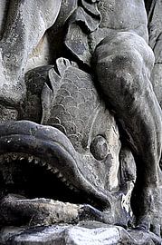 friendly fish by Rob Burgwal