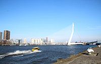 Rotterdam