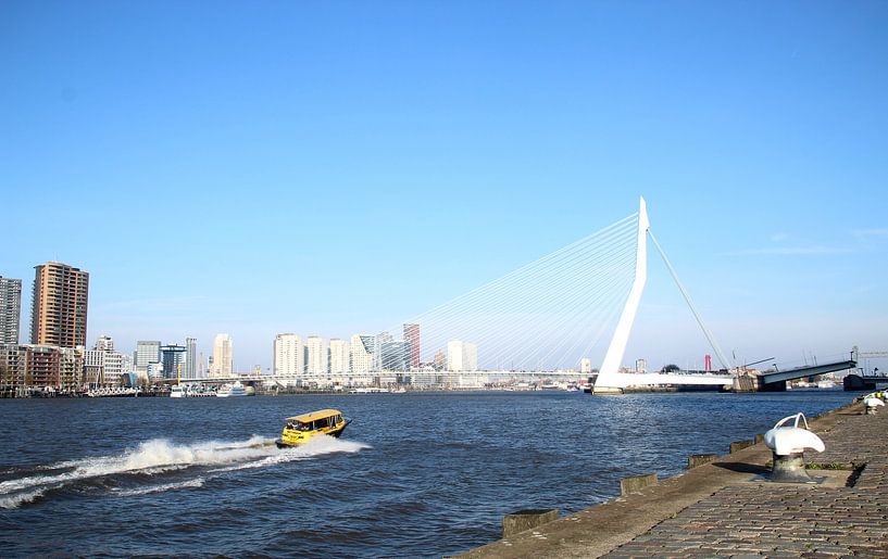 Rotterdam by Femke Krone