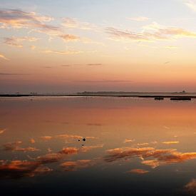 Mirror by René Perdok