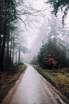 Waldweg mit Nebel von Gaby Jongenelen