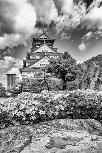 Historische Burg Osaka | monochrom