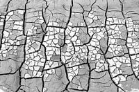 Abstract dry sand pattern in black and white