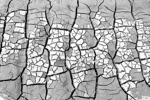 Abstract droog zand patroon in zwart wit