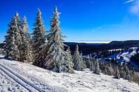 Uitzicht vanaf de Feldberg in de winter