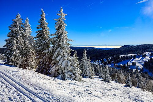 Vue du Feldberg en hiver