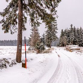First winter hike through the snow-covered Thuringian Forest near Tambach-Dietharz - Thuringia - Germany by Oliver Hlavaty