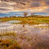 Zonsopkomst in de Okavango delta, Botswana van Chris Stenger
